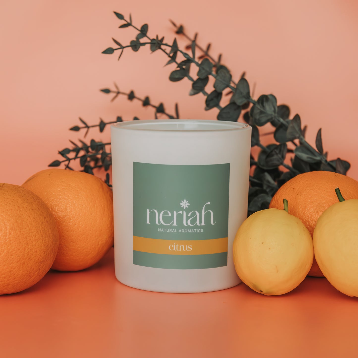 Citrus | Large Candle