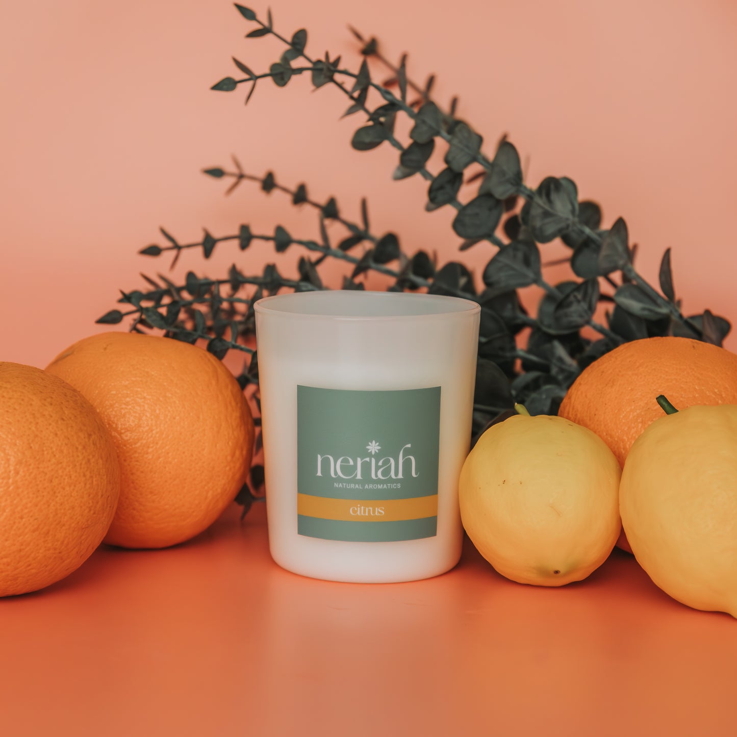 Citrus | Medium Candle