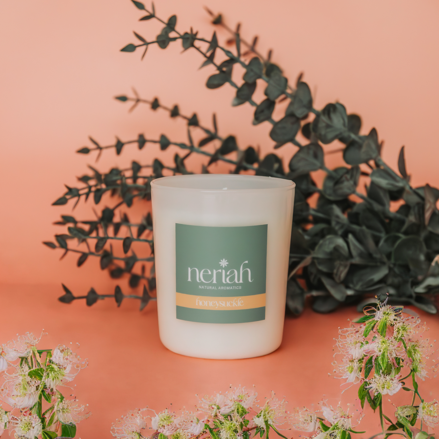 Honeysuckle | Medium Candle