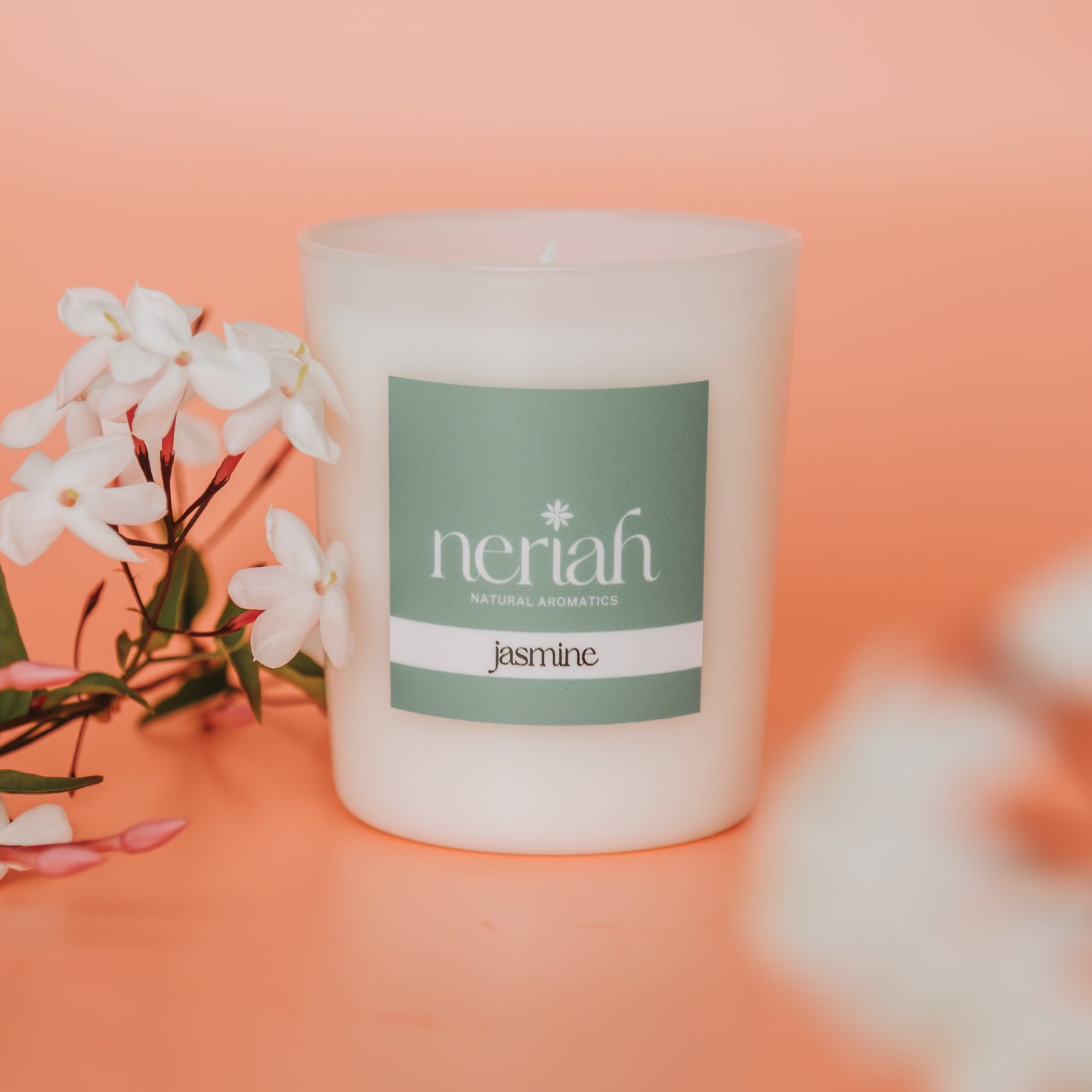 Jasmine | Medium Candle