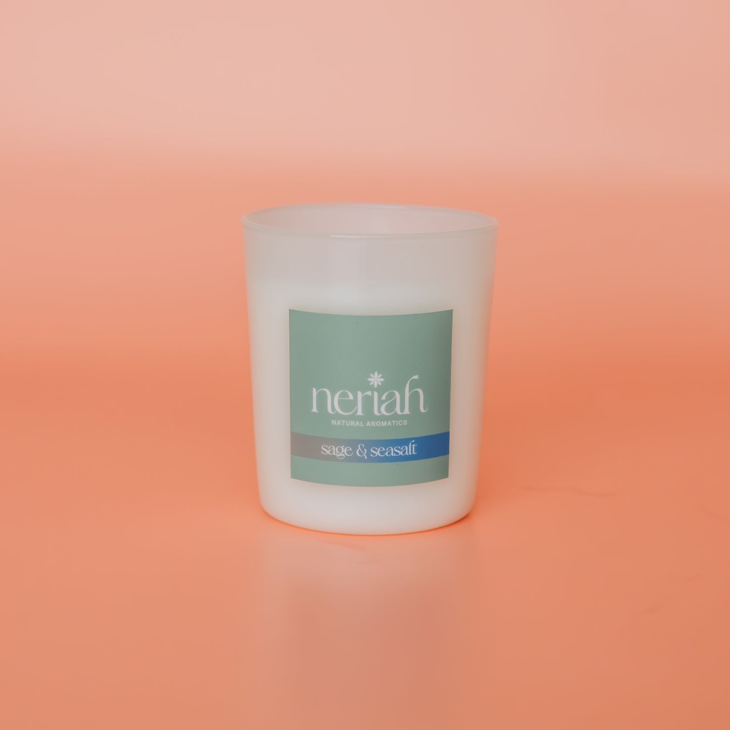 Sage & Seasalt | Medium Candle