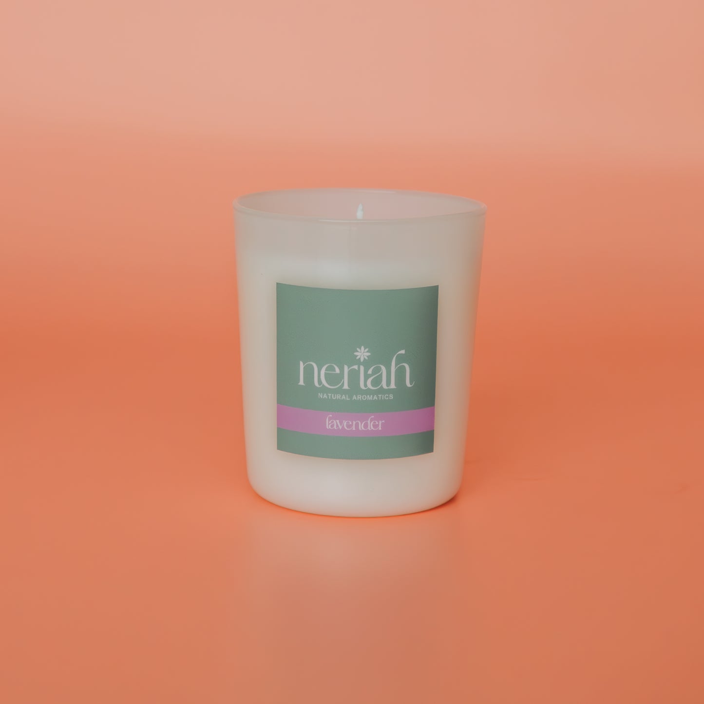 Lavender | Medium Candle