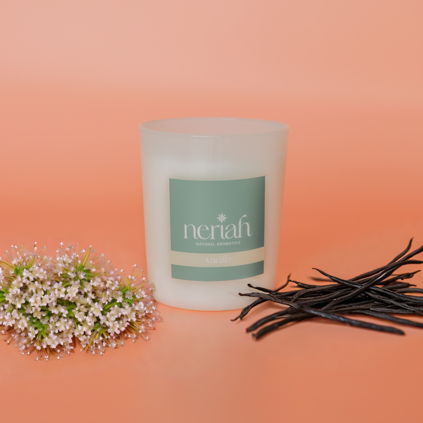 Vanilla | Medium Candle